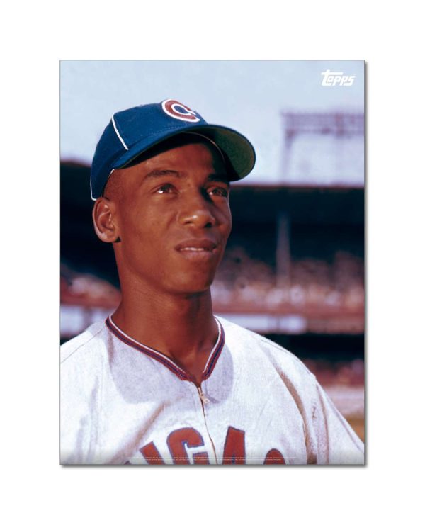 Ernie Banks Player Portrait Poster #7-18 x 24- artpp-eb07-130212-m