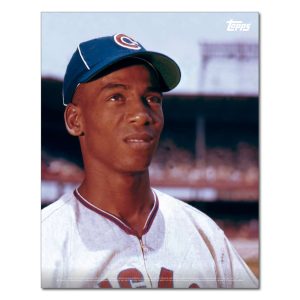 Ernie Banks Player Portrait Poster #7-11 x 14- artpp-eb07-130212-s