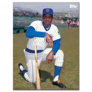 Ernie Banks Player Portrait Poster #10-18 x 24- artpp-eb10-130215-m