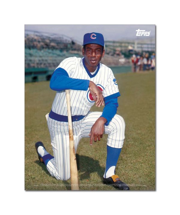 Ernie Banks Player Portrait Poster #10-11 x 14- artpp-eb10-130215-s