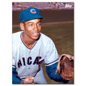 Ernie Banks Player Portrait Poster #11-18 x 24- artpp-eb11-130216-m