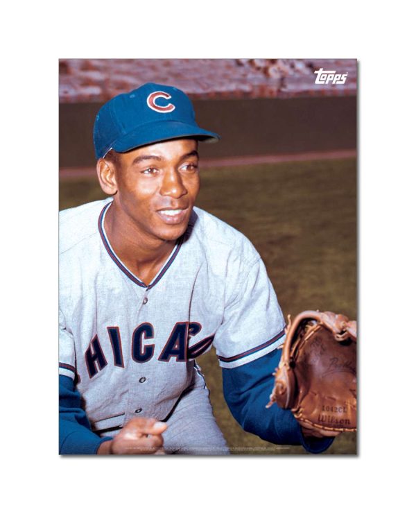 Ernie Banks Player Portrait Poster #11-18 x 24- artpp-eb11-130216-m