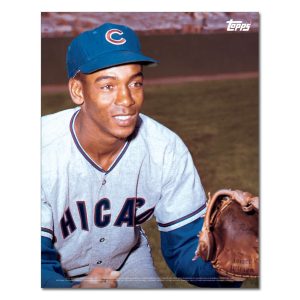 Ernie Banks Player Portrait Poster #11-11 x 14- artpp-eb11-130216-s