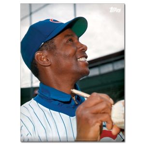 Ernie Banks Player Portrait Poster #12-18 x 24- artpp-eb12-130217-m