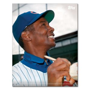 Ernie Banks Player Portrait Poster #12-11 x 14- artpp-eb12-130217-s