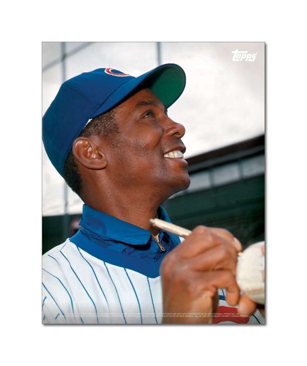 Ernie Banks Player Portrait Poster #12-11 x 14- artpp-eb12-130217-s