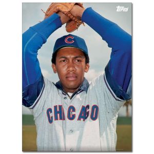 Fergie Jenkins Player Portrait Poster #4-21.5 x 29.5- artpp-fg04-130368-l
