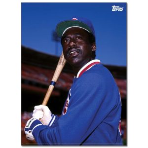 Gary Matthews Player Portrait Poster #2-21.5 x 29.5- artpp-gm02-130422-l