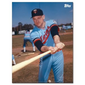 Harmon Killebrew Player Portrait Poster #2-18 x 24- artpp-hk02-130107-m