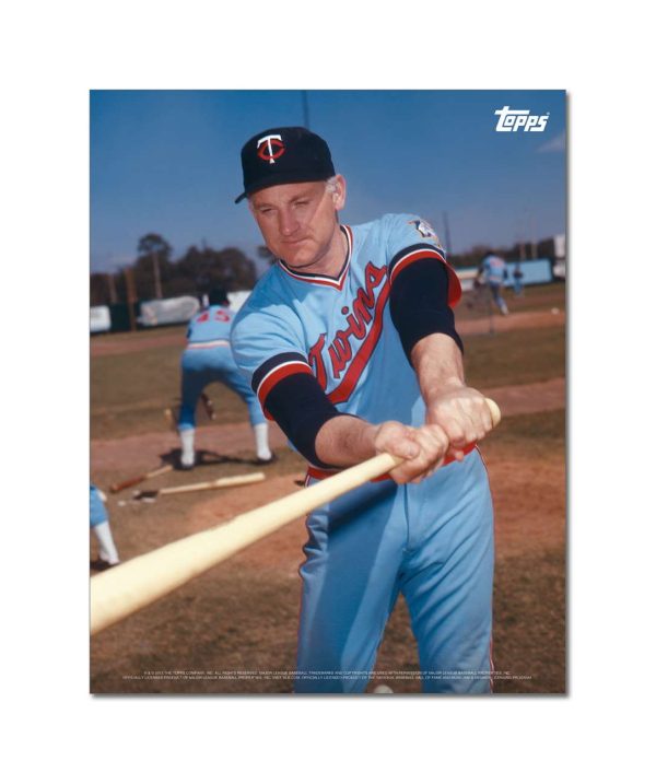 Harmon Killebrew Player Portrait Poster #2-11 x 14- artpp-hk02-130107-s