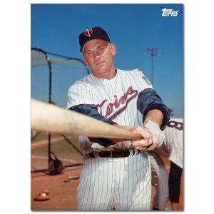 Harmon Killebrew Player Portrait Poster #3-21.5 x 29.5- artpp-hk03-130108-l