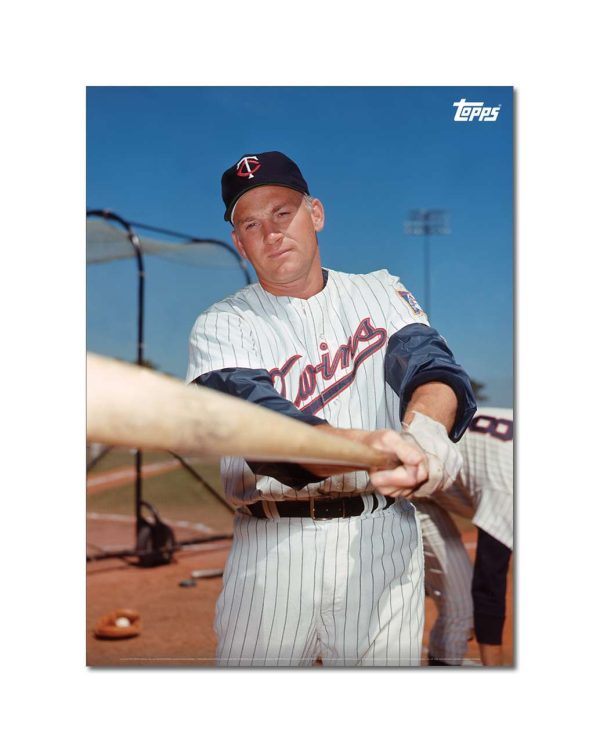 Harmon Killebrew Player Portrait Poster #3-21.5 x 29.5- artpp-hk03-130108-l