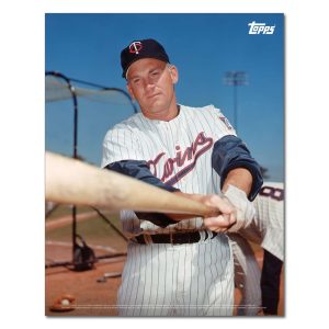 Harmon Killebrew Player Portrait Poster #3-11 x 14- artpp-hk03-130108-s