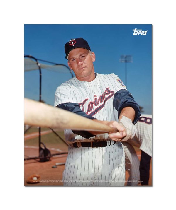 Harmon Killebrew Player Portrait Poster #3-11 x 14- artpp-hk03-130108-s