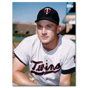 Harmon Killebrew Player Portrait Poster #6-18 x 24- artpp-hk06-130390-m