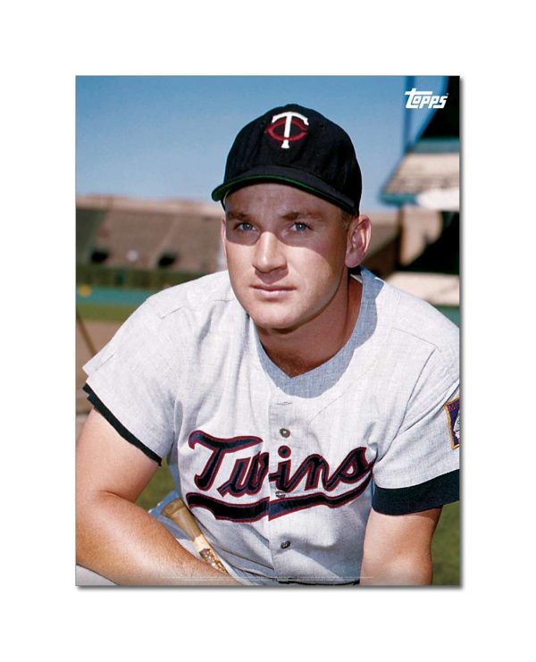 Harmon Killebrew Player Portrait Poster #6-18 x 24- artpp-hk06-130390-m