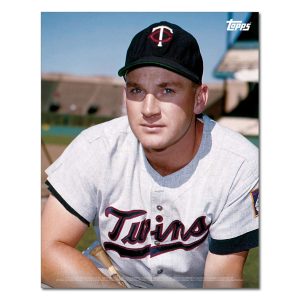 Harmon Killebrew Player Portrait Poster #6-11 x 14- artpp-hk06-130390-s