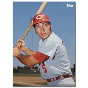 Johnny Bench Player Portrait Poster #2-21.5 x 29.5- artpp-jb02-130016-l