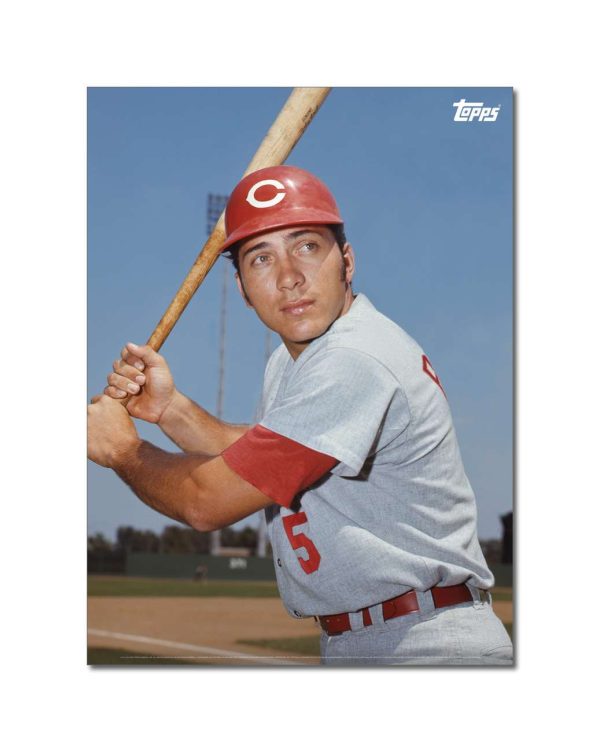 Johnny Bench Player Portrait Poster #2-21.5 x 29.5- artpp-jb02-130016-l