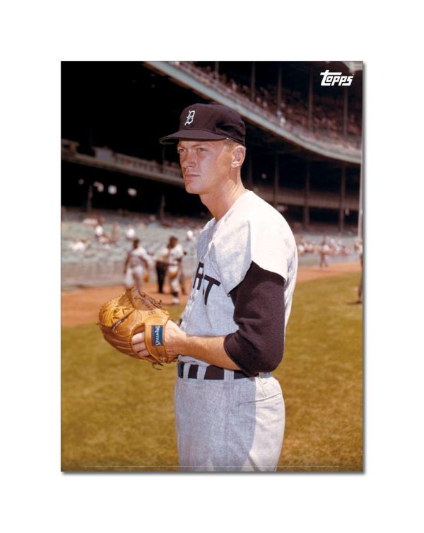Jim Bunning Player Portrait Poster #2-21.5 x 29.5- artpp-jb02-130040-l