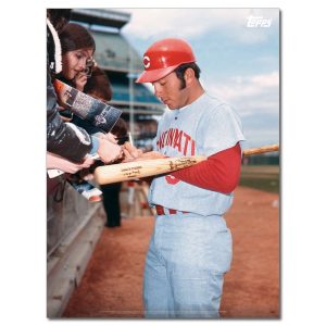 Johnny Bench Player Portrait Poster #5-18 x 24- artpp-jb05-130019-m