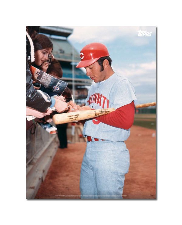 Johnny Bench Player Portrait Poster #5-18 x 24- artpp-jb05-130019-m