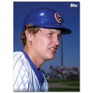 Jody Davis Player Portrait Poster #1-21.5 x 29.5- artpp-jd01-130307-l