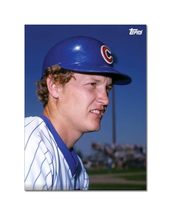 Jody Davis Player Portrait Poster #1-21.5 x 29.5- artpp-jd01-130307-l