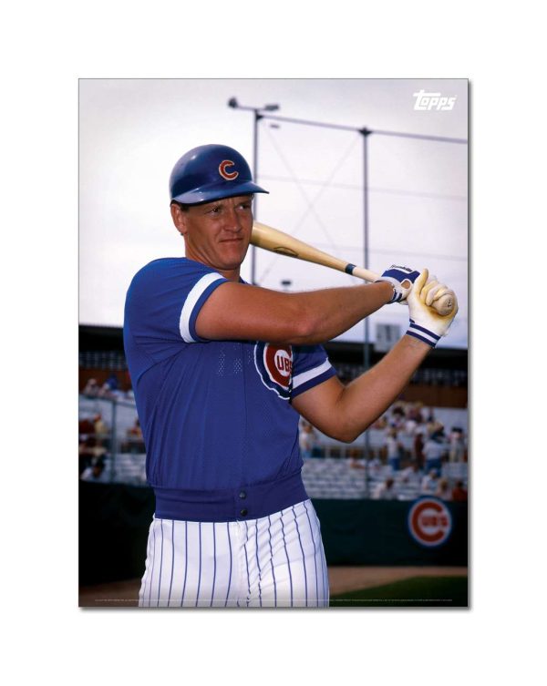 Jody Davis Player Portrait Poster #2-21.5 x 29.5- artpp-jd02-130308-l
