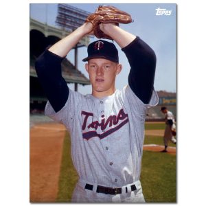 Jim Kaat Player Portrait Poster #1-21.5 x 29.5- artpp-jk01-130374-l