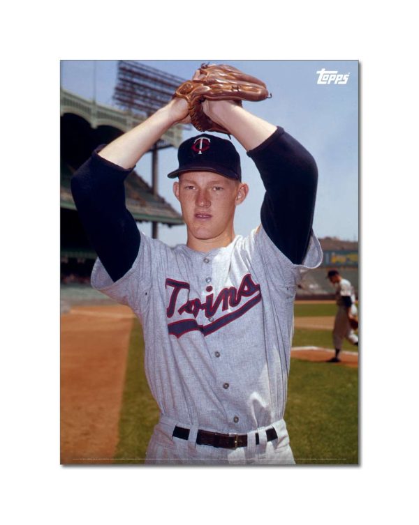 Jim Kaat Player Portrait Poster #1-21.5 x 29.5- artpp-jk01-130374-l