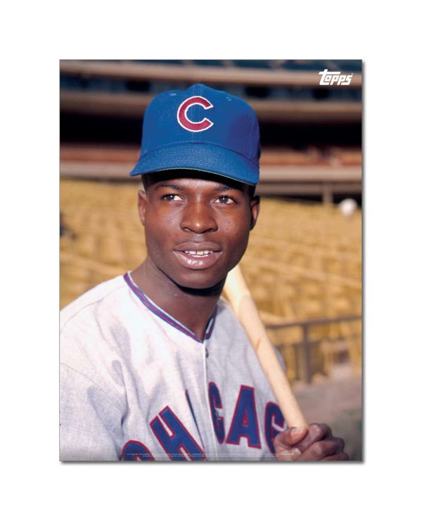 Lou Brock Player Portrait Poster #5-18 x 24- artpp-lb05-130254-m