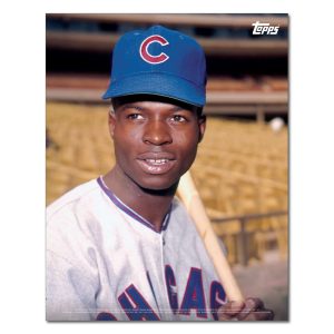 Lou Brock Player Portrait Poster #5-11 x 14- artpp-lb05-130254-s