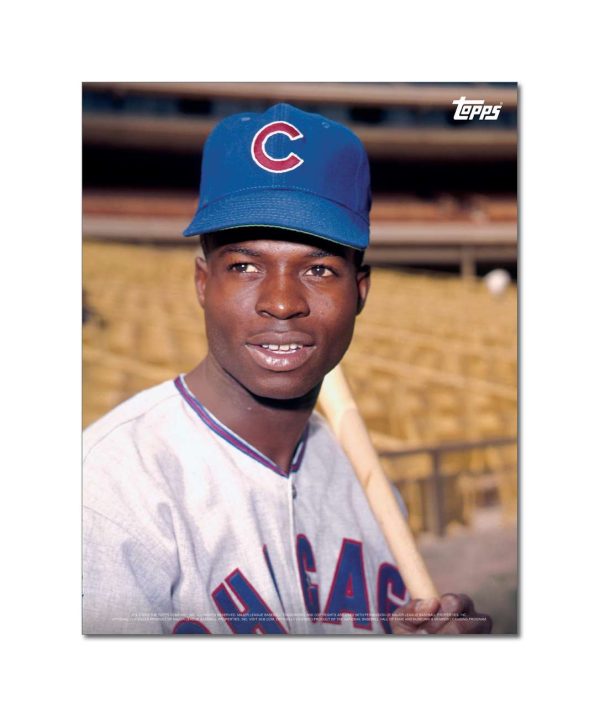 Lou Brock Player Portrait Poster #5-11 x 14- artpp-lb05-130254-s