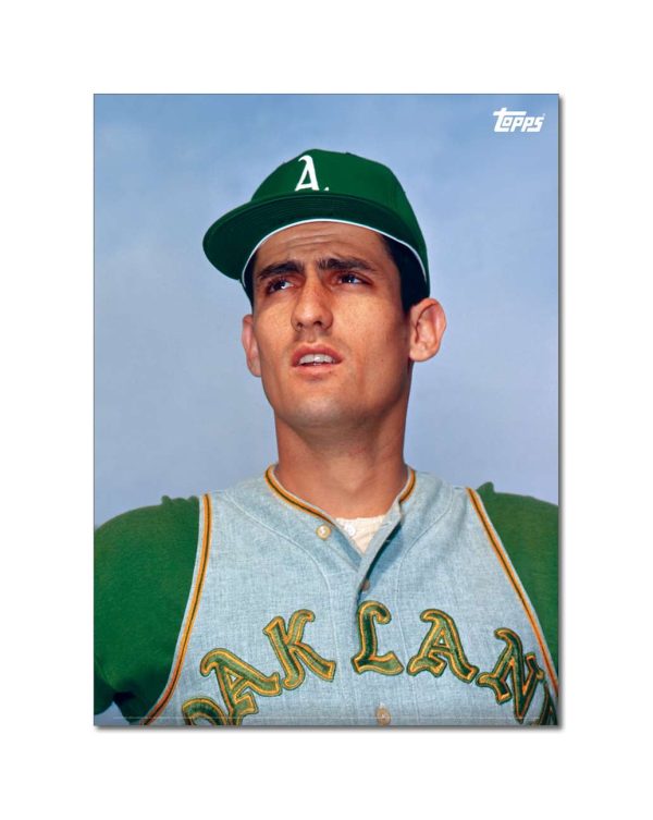 Rollie Fingers Player Portrait Poster #1-21.5 x 29.5- artpp-rf01-130060-l
