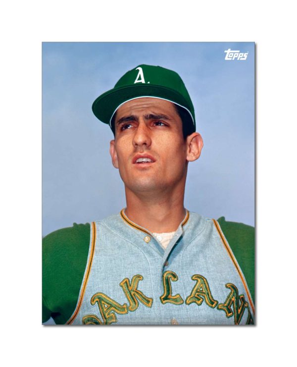 Rollie Fingers Player Portrait Poster #1-18 x 24- artpp-rf01-130060-m