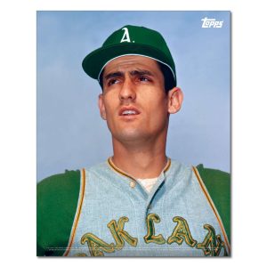 Rollie Fingers Player Portrait Poster #1-11 x 14- artpp-rf01-130060-s