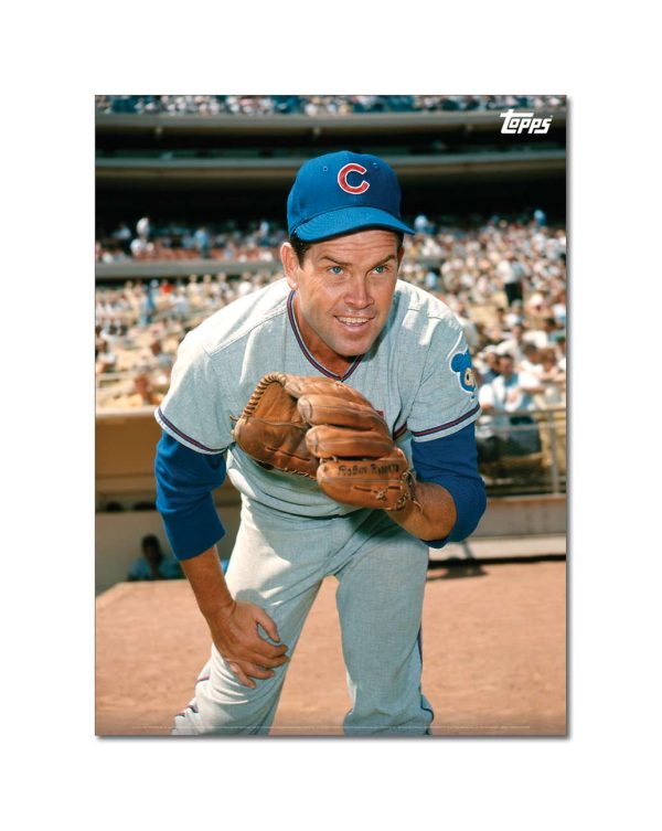 Robin Roberts Player Portrait Poster #2-21.5 x 29.5- artpp-rr02-130146-l