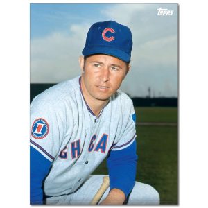 Ron Santo Player Portrait Poster #1-21.5 x 29.5- artpp-rs01-130161-l