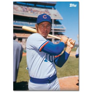 Ron Santo Player Portrait Poster #2-21.5 x 29.5- artpp-rs02-130162-l