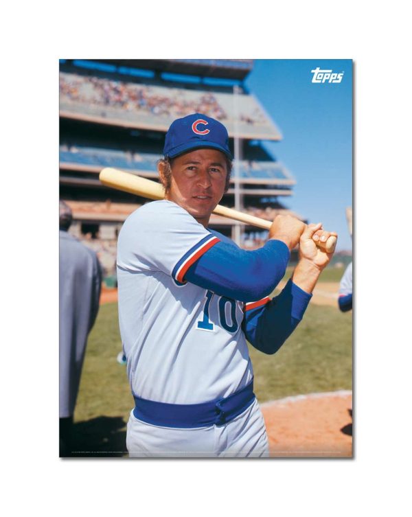 Ron Santo Player Portrait Poster #2-21.5 x 29.5- artpp-rs02-130162-l