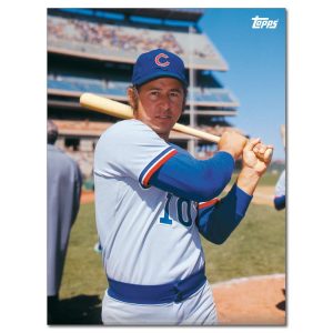 Ron Santo Player Portrait Poster #2-18 x 24- artpp-rs02-130162-m