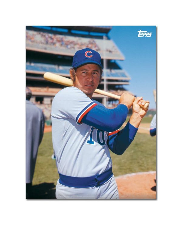 Ron Santo Player Portrait Poster #2-18 x 24- artpp-rs02-130162-m