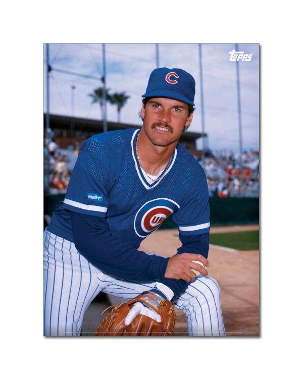 Ryne Sandberg Player Portrait Poster #3-21.5 x 29.5- artpp-rs03-130159-l
