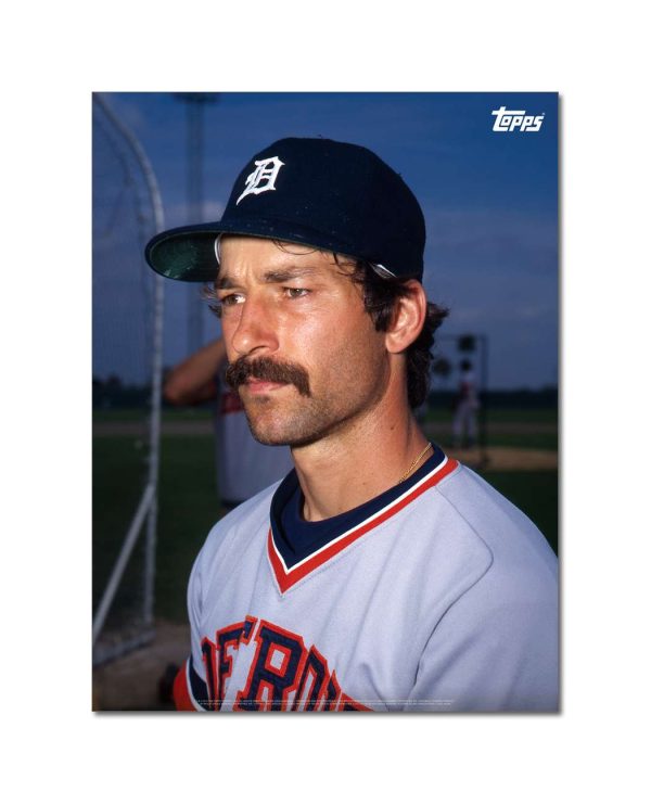 Tom Brookens Player Portrait Poster #6-18 x 24- artpp-tb06-130269-m