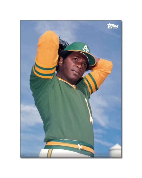 Vida Blue Player Portrait Poster #1-21.5 x 29.5- artpp-vb01-130025-l