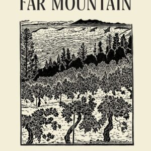 Far Mountain Fission Cabernet Sauvignon 2020- 1572927