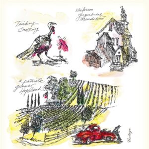 Sketchbook Cabernet Sauvignon 2020- 1058171