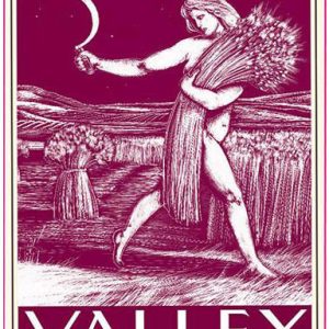 Dusted Valley Wahluke Slope Petite Sirah 2020- 1229186