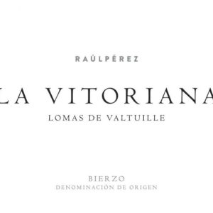 La Vizcaina by Raul Perez La Vitoriana Tinto 2021- 1463839